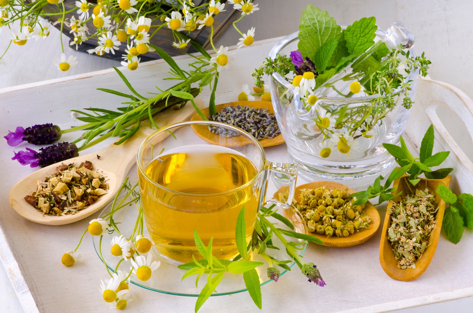 Alternative Medicine. Herbal Therapy. תה צמחים